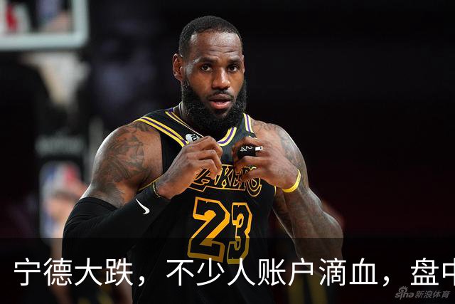 宁德大跌，不少人账户滴血，盘中一度跌了 12%，网上一片哀嚎。