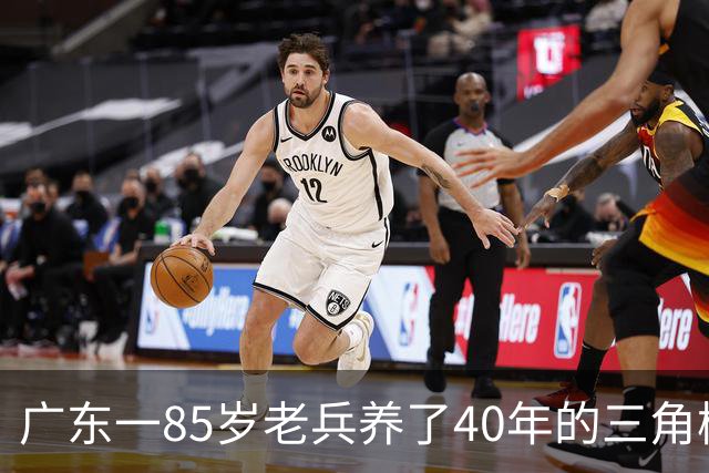 广东一85岁老兵养了40年的三角梅“火了”，开成“浪漫花屋”，网友：看哭了