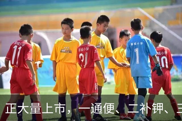 正大量上市，一通便、二补钾、三控糖、四护血管，建议大家多吃。